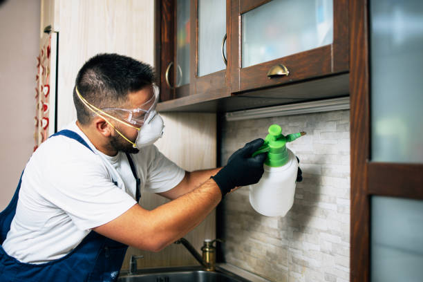 Best Cockroach Control Services  in Potomac Mills, VA