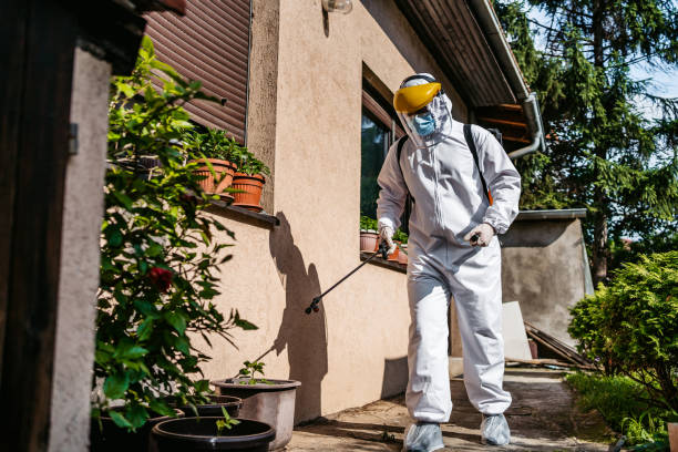 Best Mosquito Control Services  in Potomac Mills, VA
