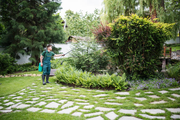 Professional Pest Control in Potomac Mills, VA