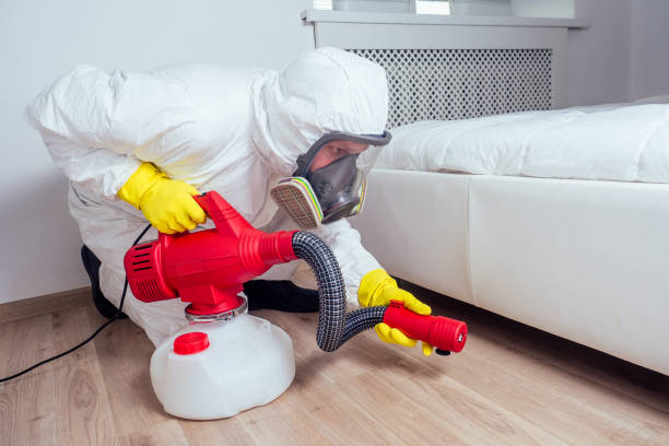 Best Termite Control Services  in Potomac Mills, VA