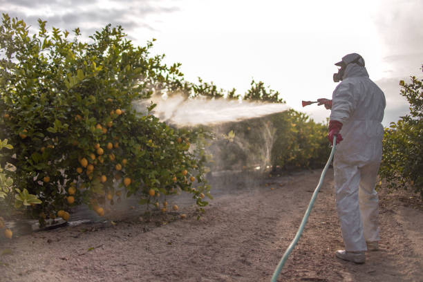 Best Pest Control Near Me  in Potomac Mills, VA