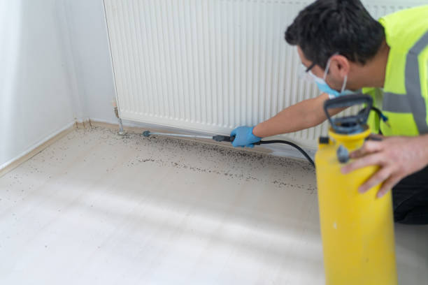 Best Pest Removal Services  in Potomac Mills, VA