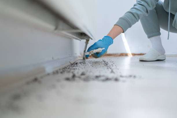 Pest Prevention Services in Potomac Mills, VA
